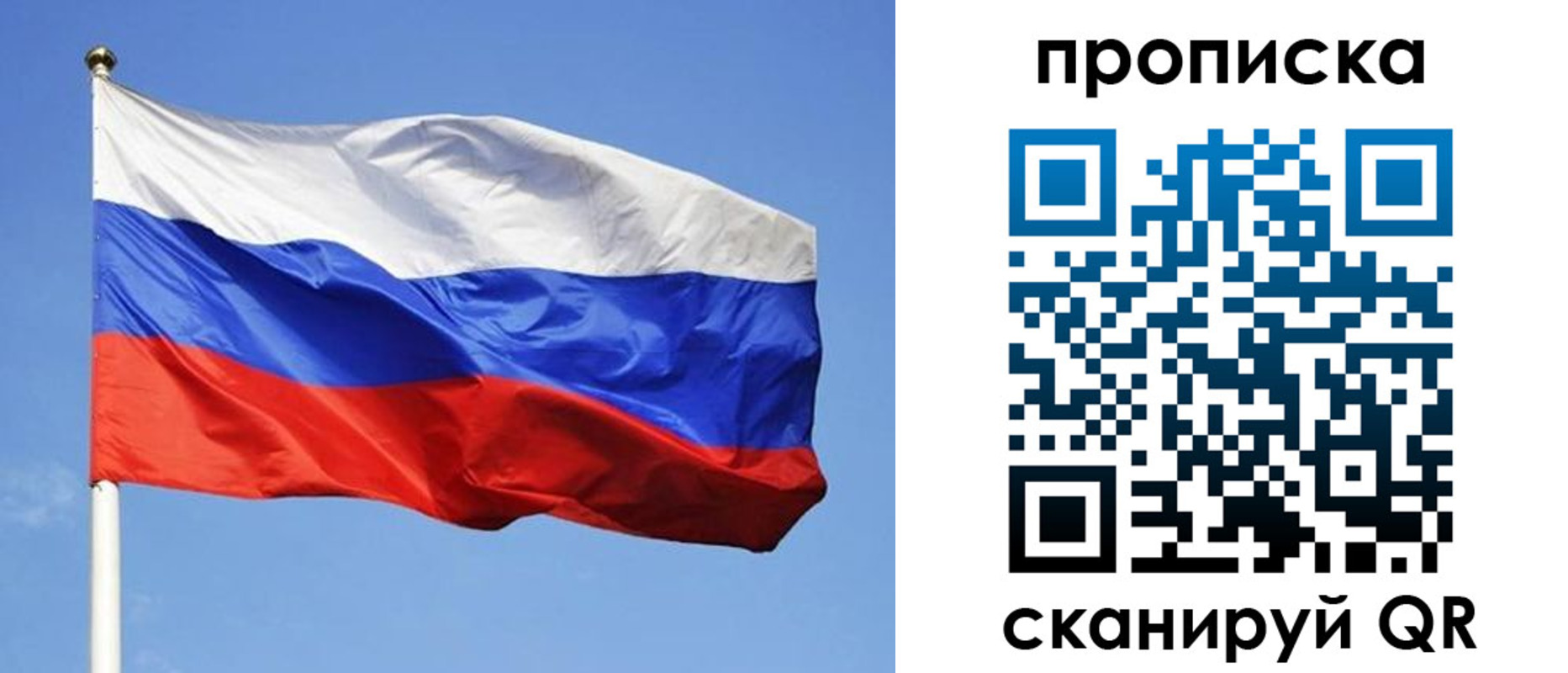 прописка в Оленегорске